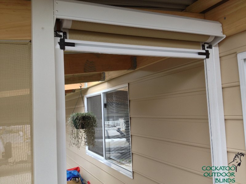 photo-17-11-12-11-37-39-am